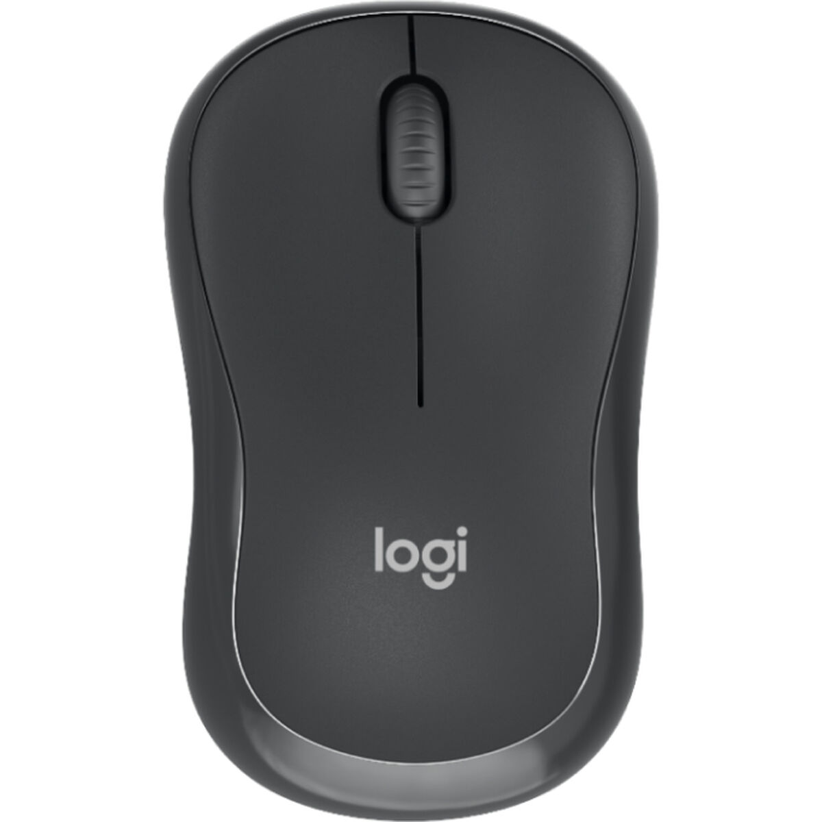Teclado y Ratón Logitech 920-012067 Grafito QWERTZ